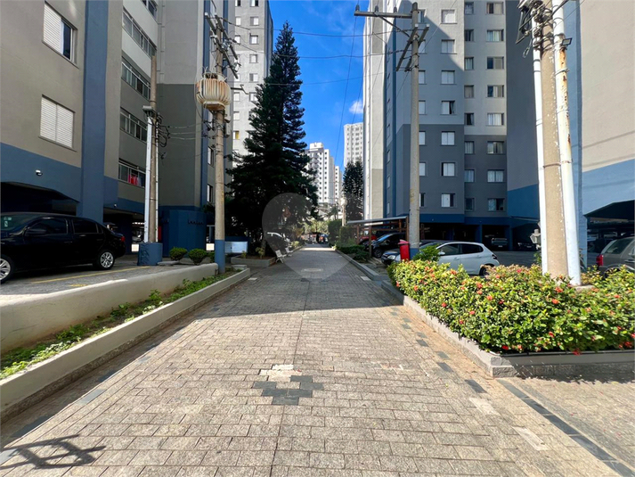 Foto REO1094377