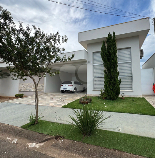 Foto REO1094380