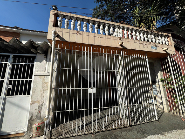 Foto REO1094384