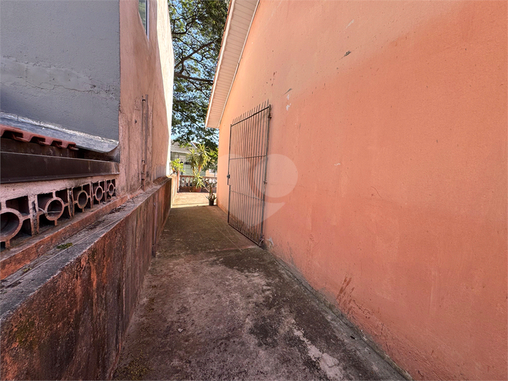 Foto REO1094384
