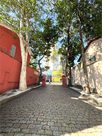 Foto REO1094384
