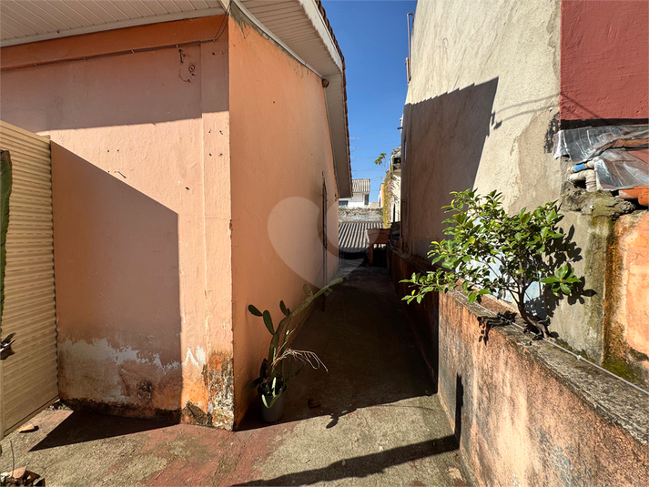 Foto REO1094384