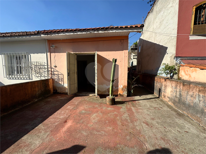 Foto REO1094384