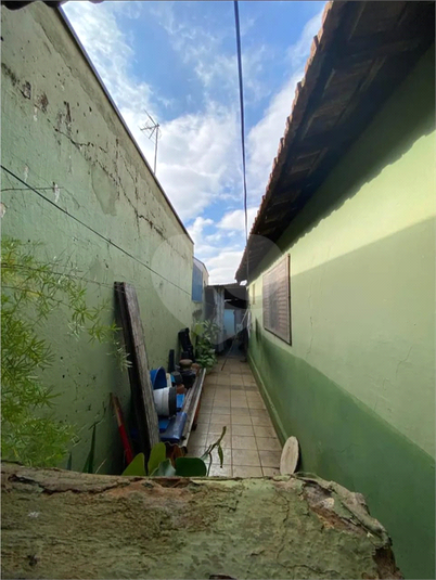 Foto REO1094390