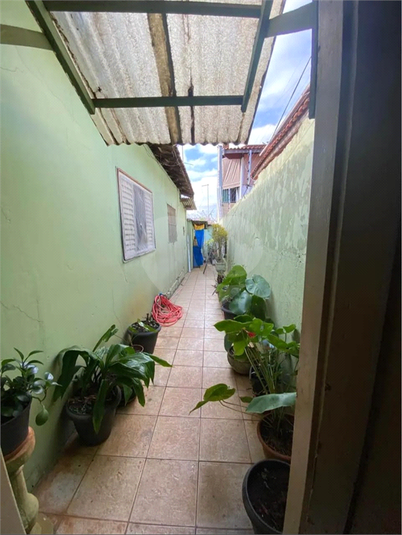 Foto REO1094390