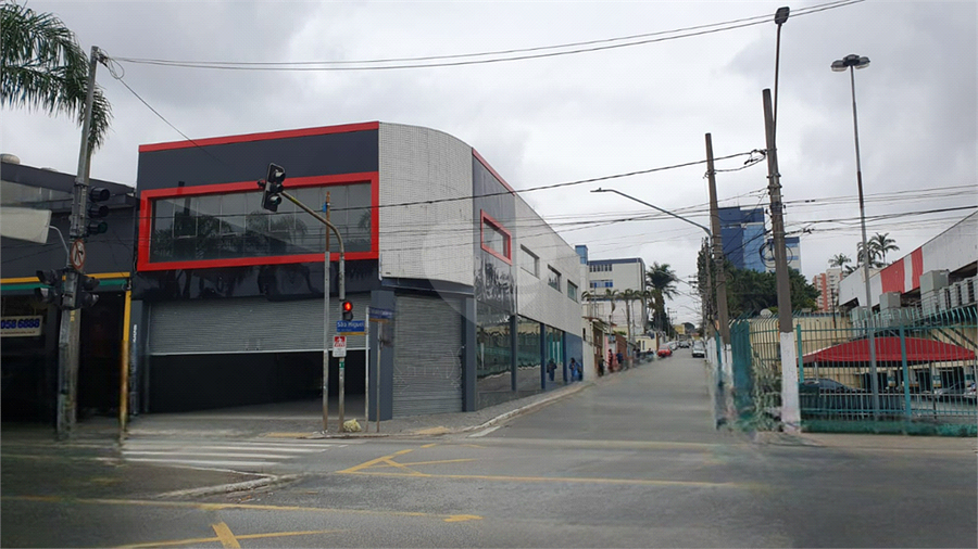 Foto REO1094397