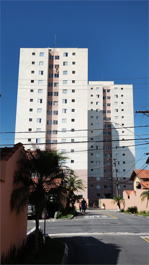 Foto REO1094398