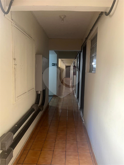 Foto REO1094399