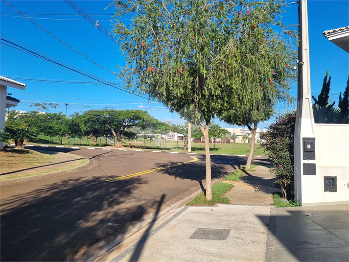 Foto REO1094403