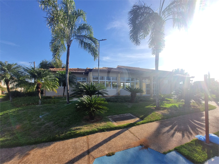 Foto REO1094403
