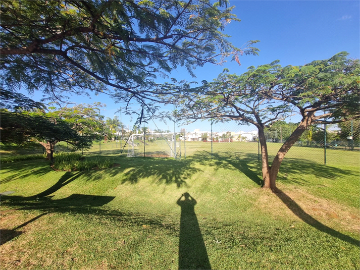 Foto REO1094403