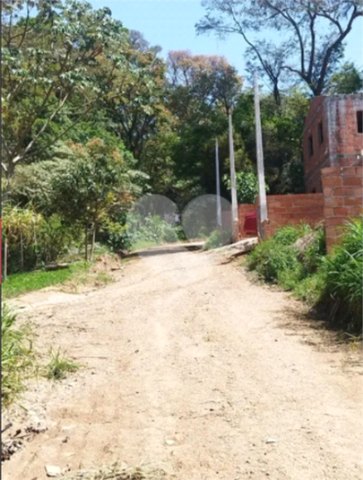 Foto REO1094411