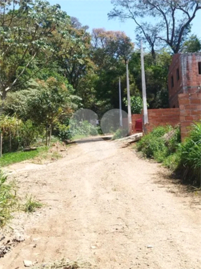 Foto REO1094411