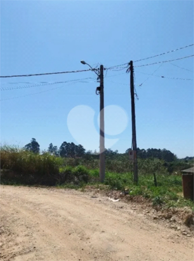Foto REO1094411