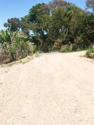 Foto REO1094411