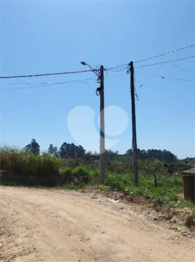 Foto REO1094411