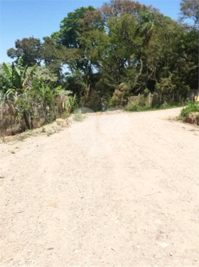 Foto REO1094411