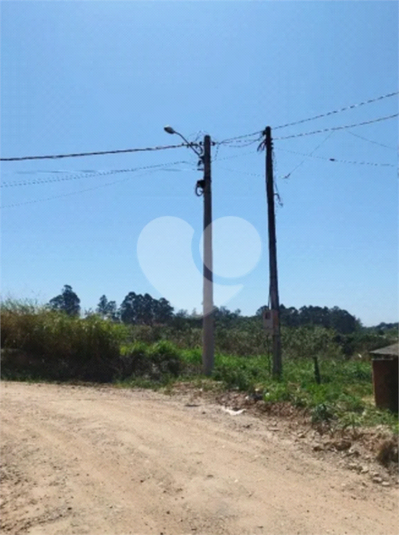 Foto REO1094411