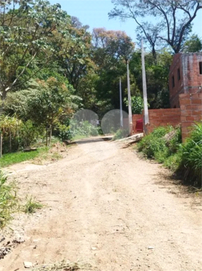 Foto REO1094411