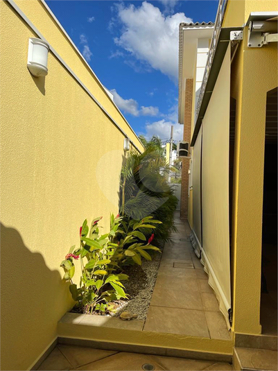 Foto REO1094412