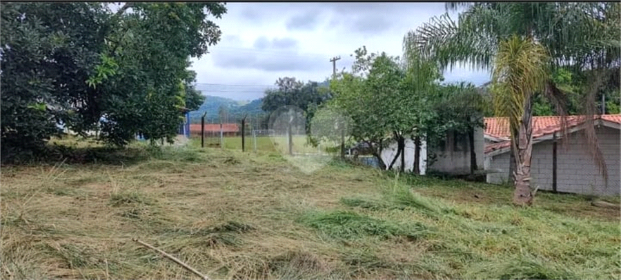 Foto REO1094413