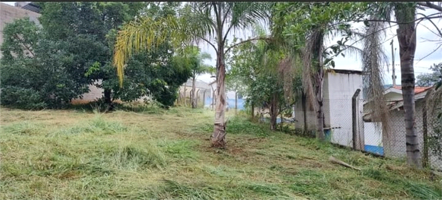Foto REO1094413