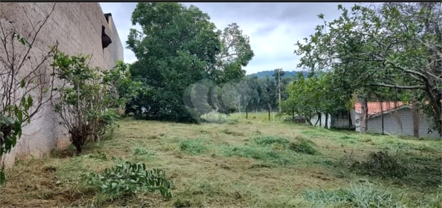 Foto REO1094413