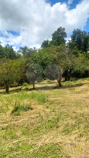 Foto REO1094413