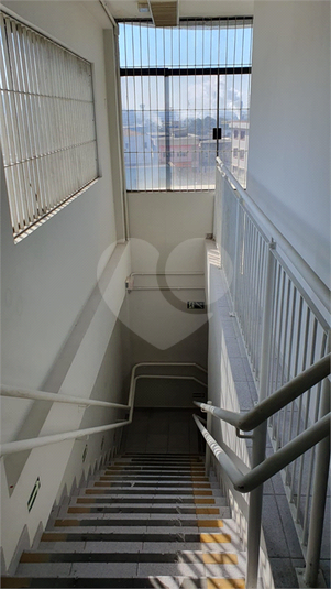 Foto REO1094417