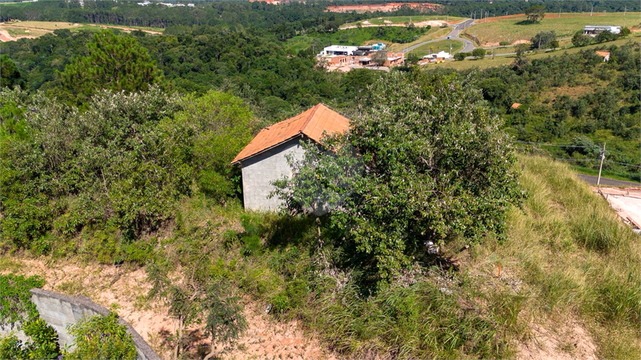 Foto REO1094422