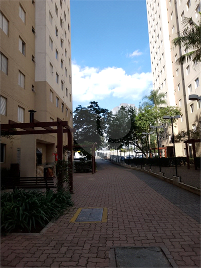 Foto REO1094424