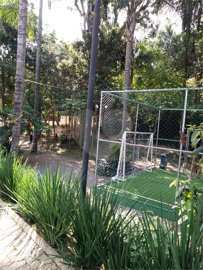 Foto REO1094424