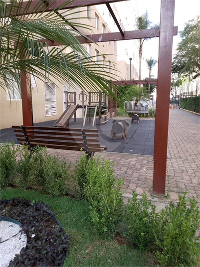Foto REO1094424