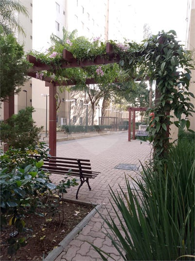 Foto REO1094424