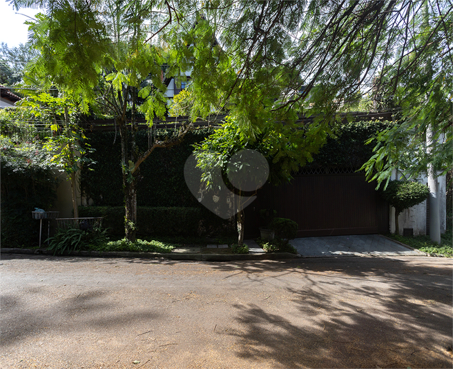 Foto REO1094436