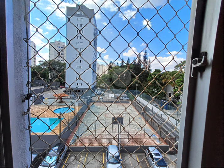 Foto REO1094439