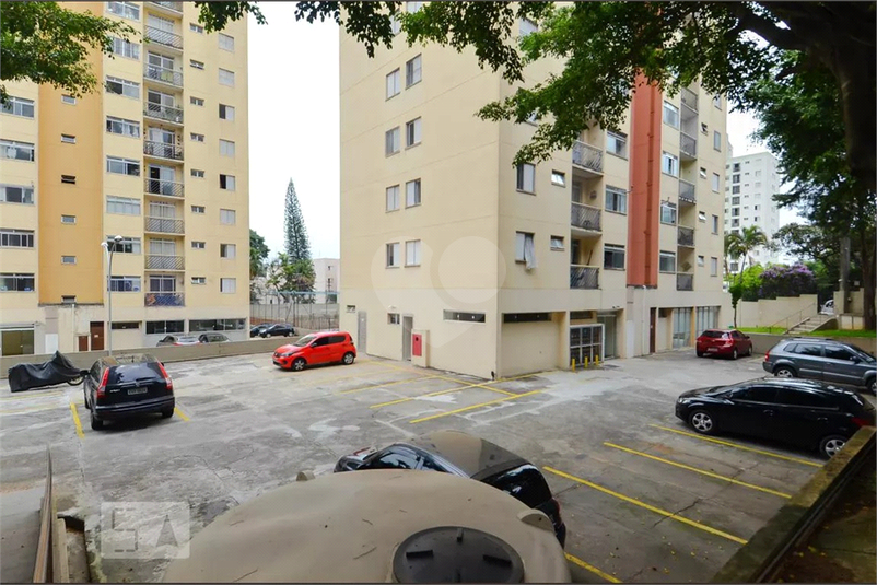 Foto REO1094439
