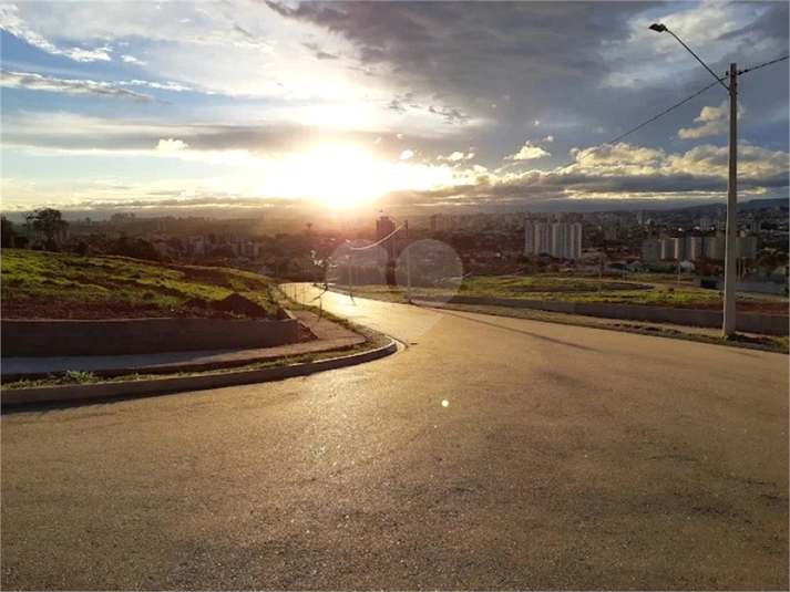 Foto REO1094448