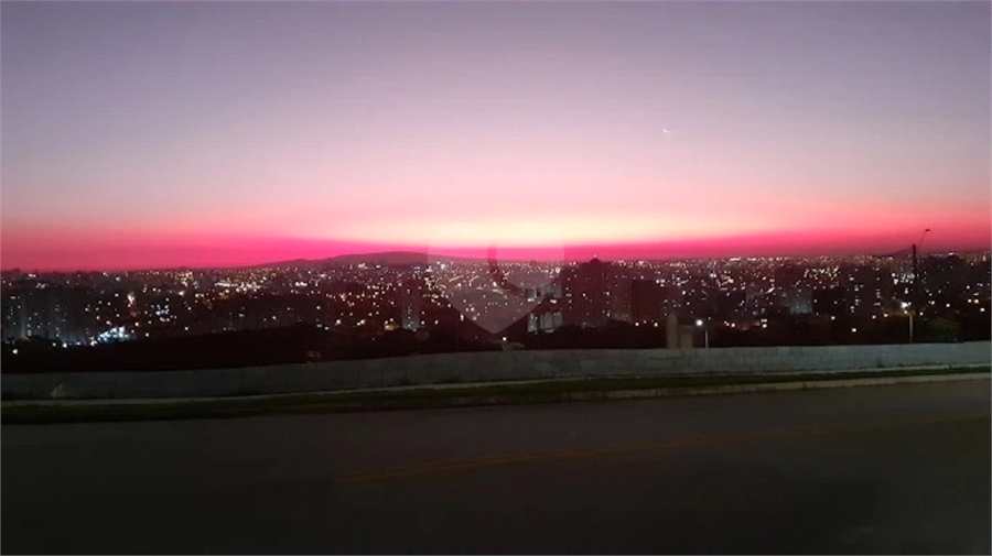 Foto REO1094448