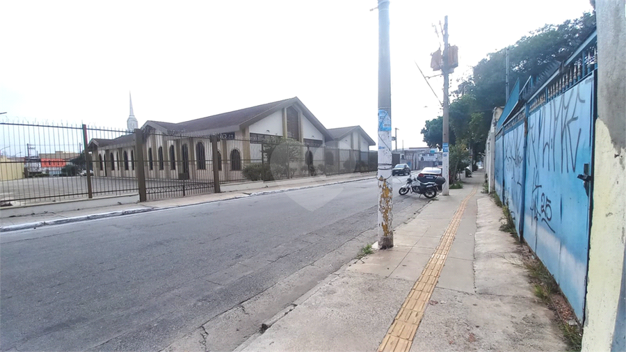 Foto REO1094452
