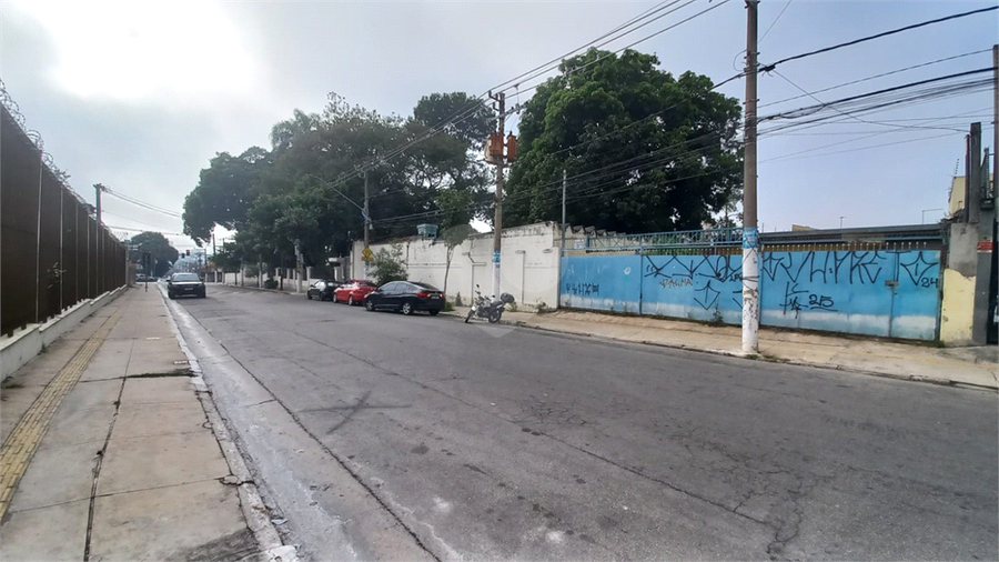 Foto REO1094452