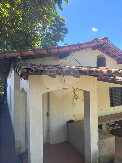 Foto REO1094454