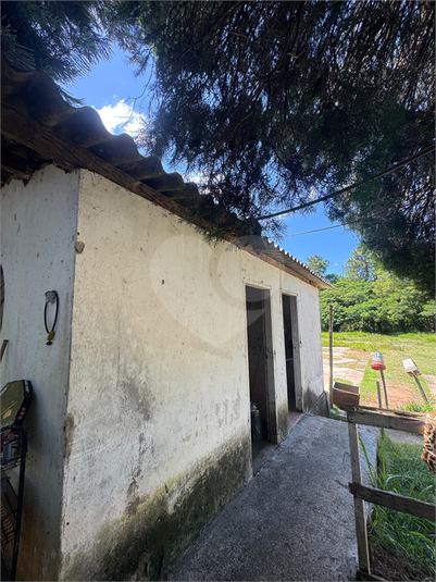 Foto REO1094454