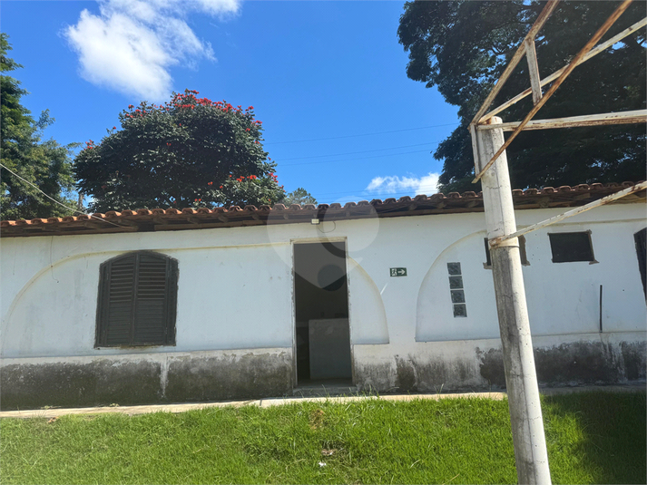 Foto REO1094454