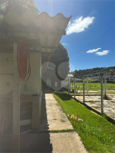 Foto REO1094454