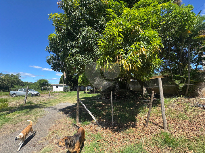Foto REO1094454
