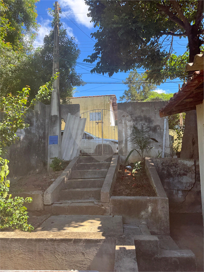 Foto REO1094454