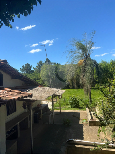 Foto REO1094454