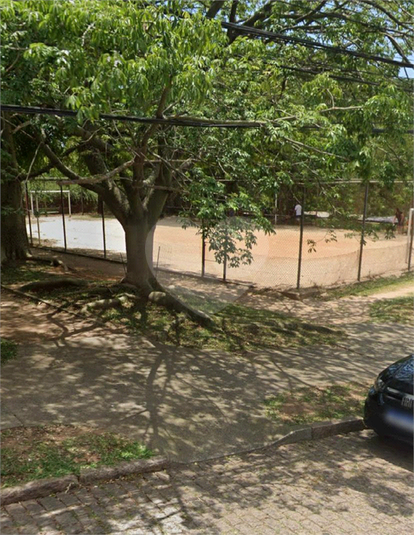 Foto REO1094461