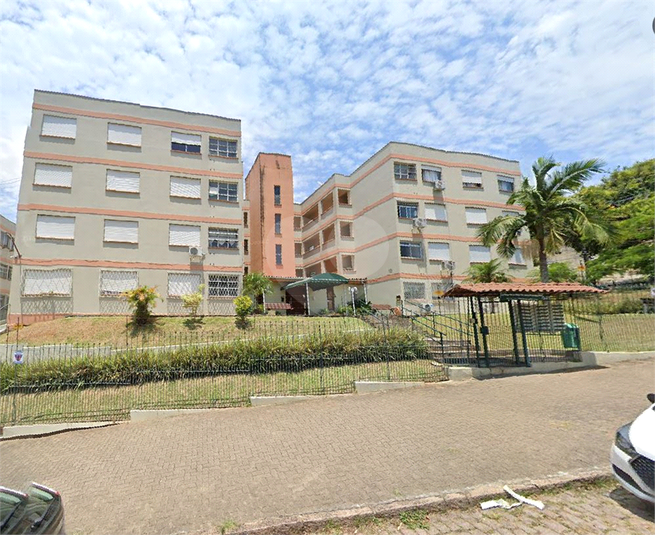 Foto REO1094461
